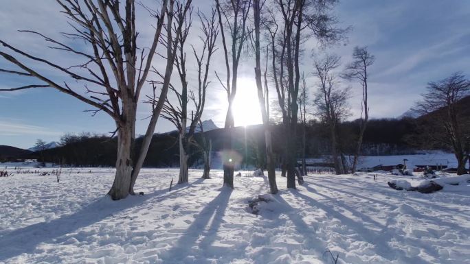 世界尽头阿根廷乌斯怀亚的结霜森林。雪山。冰川的风景。世界尽头阿根廷。冬季旅游。世界尽头阿根廷乌斯怀亚