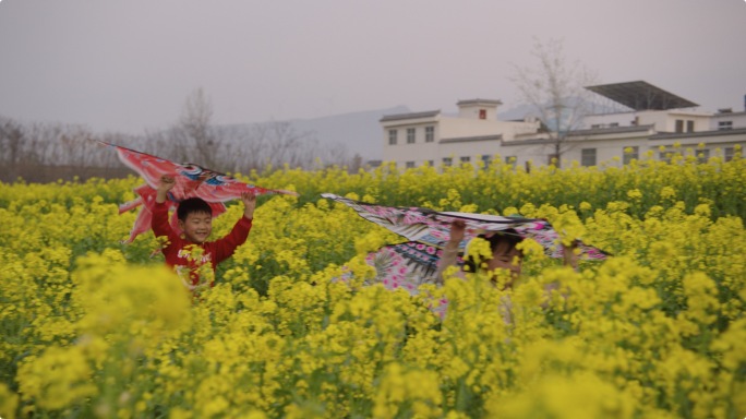 阿莱拍摄美丽乡村振兴孩子油菜花放风筝梦想