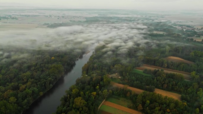 柔和的雾笼罩着穆尔河，蜿蜒穿过茂密的绿色森林