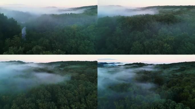 无人机拍摄的浓雾笼罩着茂密的森林和道路，一缕缕雾在参天的树木中优雅地跳舞