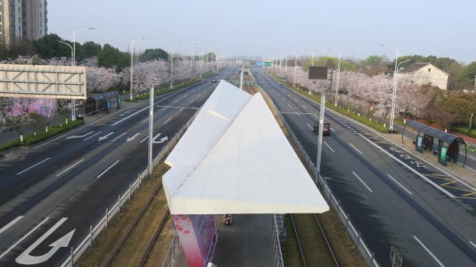 樱花大道樱花绽放唯美网红电车站苏州秀岸站