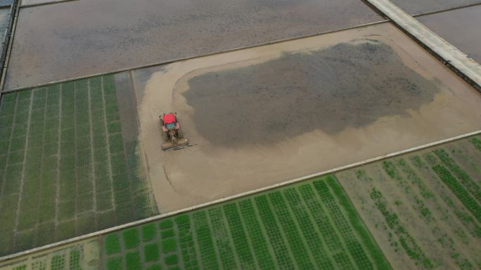 耕地机机器在稻田作业航拍