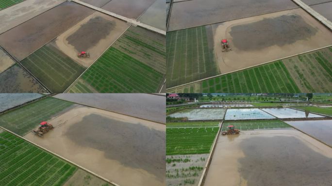 耕地机机器在稻田作业航拍
