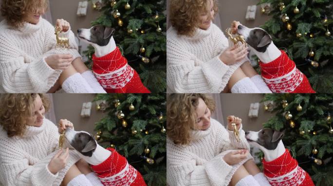 在新年室内，女人享受着幸福的时刻，和狗狗开心地玩耍。圣诞的气氛使每一帧画面都洋溢着温馨和幸福。恭祝新