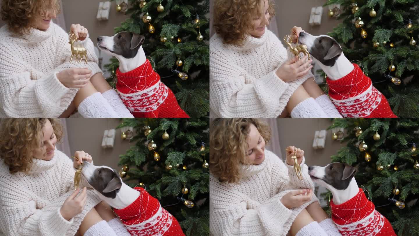 在新年室内，女人享受着幸福的时刻，和狗狗开心地玩耍。圣诞的气氛使每一帧画面都洋溢着温馨和幸福。恭祝新