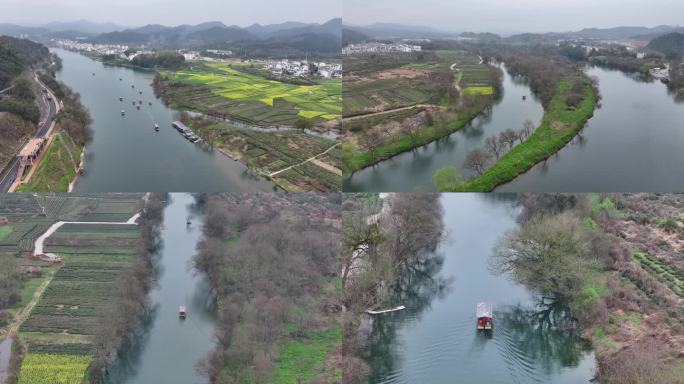 江西上饶婺源月亮湾景区 油菜花航拍 春天