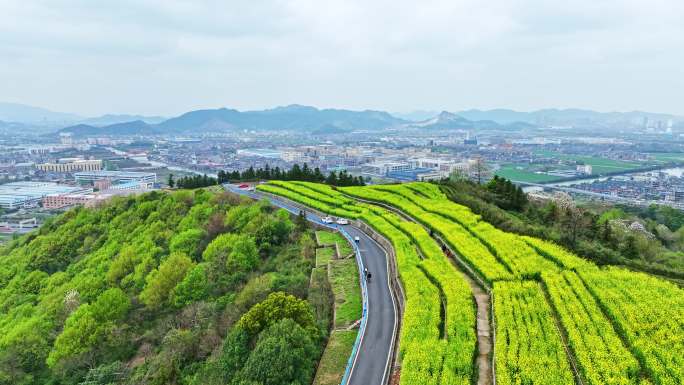 浙江省杭州市萧山山里王村山顶油菜