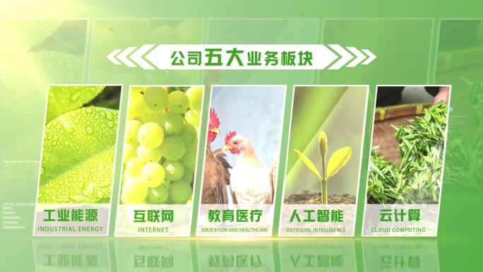 （无插件）绿色农业项目图文分类展示