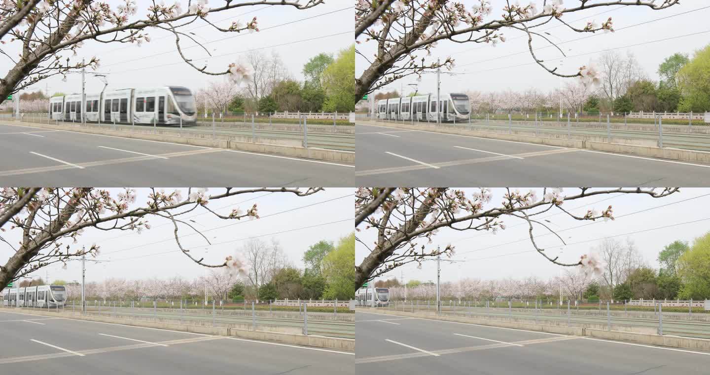 清晨苏州科技城樱花盛开唯美樱花主题电车