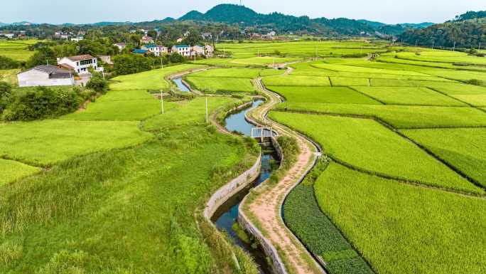 夏季水稻农田水利工程水渠