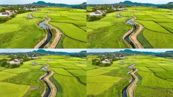 夏季水稻农田水利工程水渠