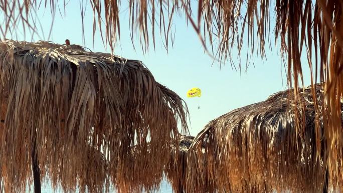 沙滩上有热带风格的遮阳伞，人们在沙滩上度假