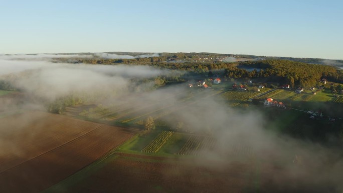 蓝天下，一层雾气笼罩着绿色的田野，营造出一种宁静而神秘的景象。