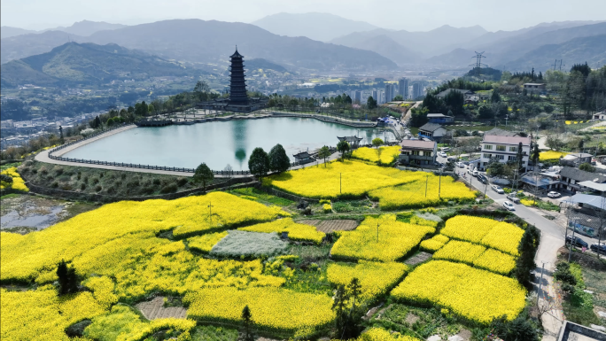 山水城市油菜花开春天春色荥经县城