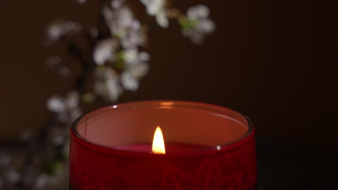 一支点燃的蜡烛插在一个红色的玻璃盒子里，背景是盛开的丁香枝。