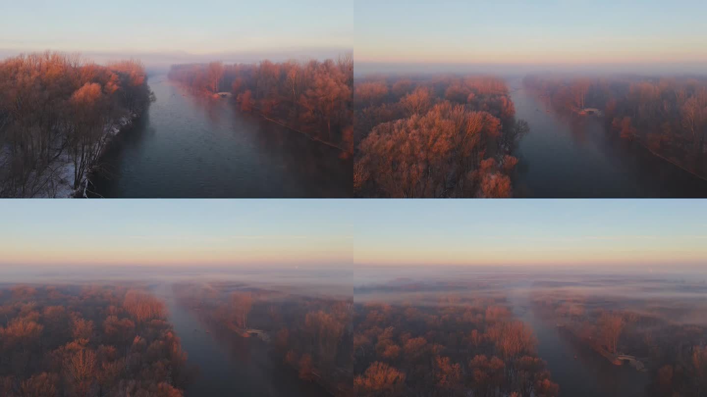 黎明时分，穆尔河在冬日树木间流动的航拍照片