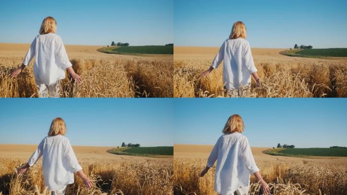 后视图:女农民走在一望无际的黄麦地上。