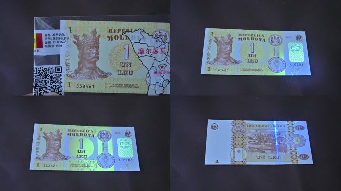 基希讷乌-摩尔多瓦-钞票钱币展示微距特写