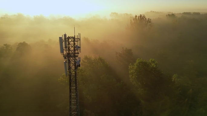 透过浓雾，鸟瞰图显示一座电信塔从茂密的森林中拔地而起