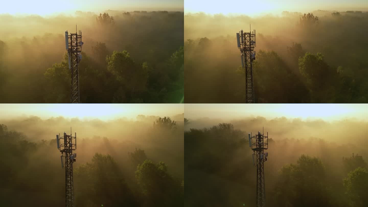 透过浓雾，鸟瞰图显示一座电信塔从茂密的森林中拔地而起