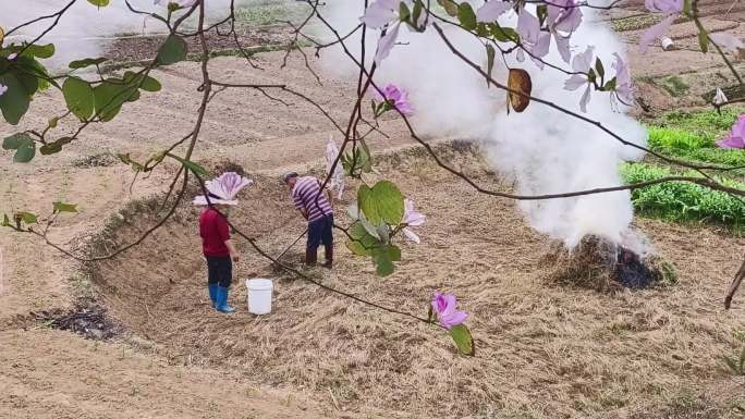 浓烟滚滚土地杂草田间焚烧土地焚烧污染农村