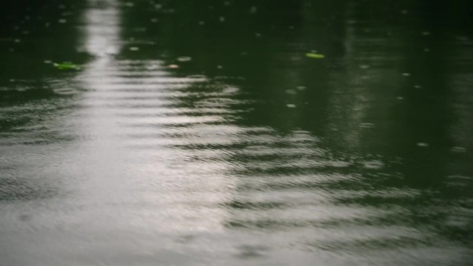 雨滴在平静的湖面上荡起涟漪。电影纹理的自然模式在近距离观看。天上的水滴扰乱了池塘的安宁，映照着周围的