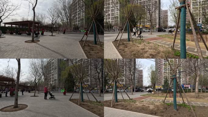 原创拍摄北京大妈公园跳舞扭秧歌