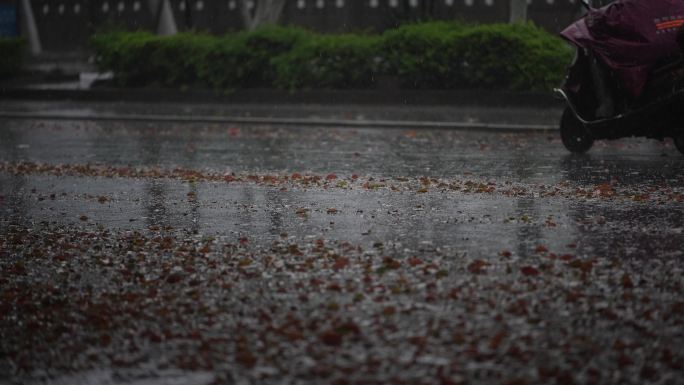 雨天台风天暴雨大雨路面落叶电瓶车雨衣实拍