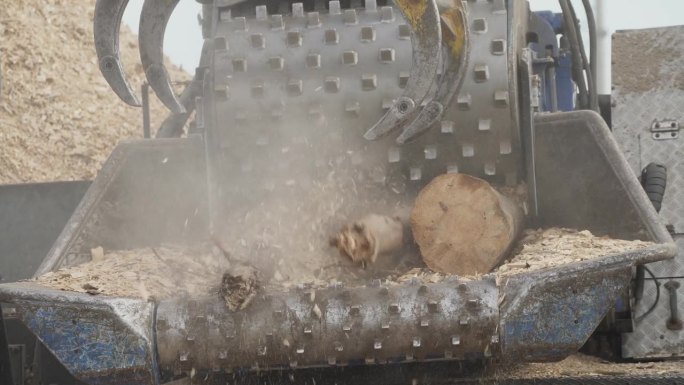 木工，回收树干制成木片，在工作中将木材切成锯末的机器，装载树木。