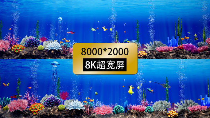 8k海洋鱼群海底世界