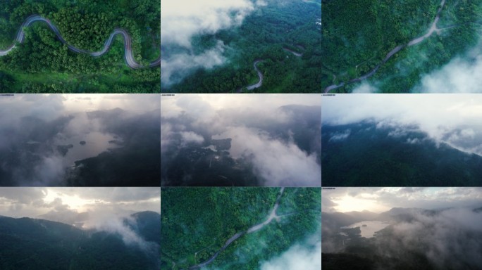热带雨林公路
