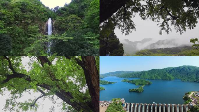 瀑布古树古杏树云雾山峦红军广场梅山水库