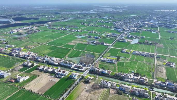 航拍城镇乡村农田民房春景小麦田地空景