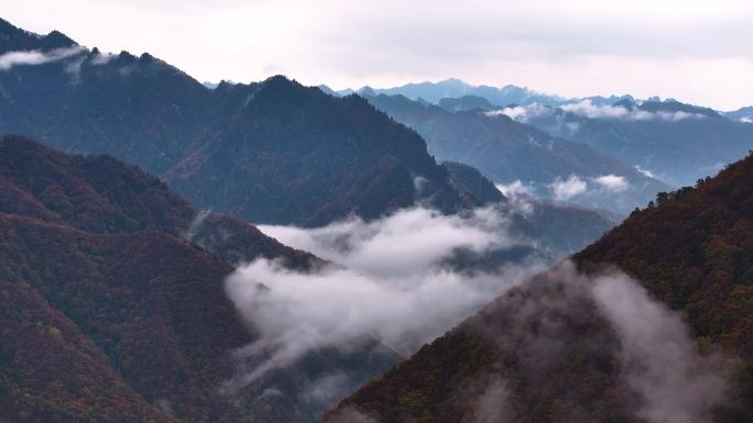 秦岭山水森林日出云海