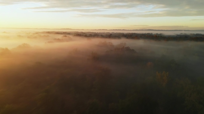 空中风景木河在冬季森林景观笼罩着雾在黎明