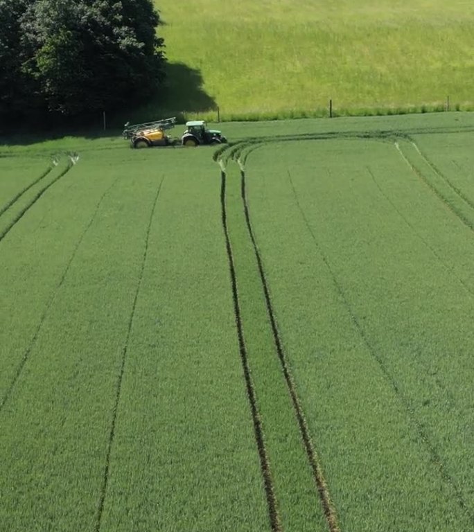 无人驾驶的劳动领域:拖拉机在日光下穿过绿色小麦的耕地