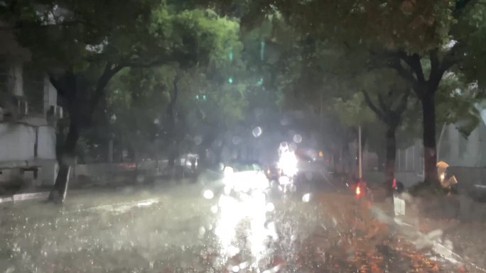大雨暴雨天气城市道路车辆行驶行道树香樟树