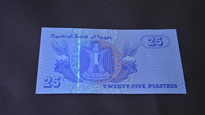 开罗-埃及-钞票钱币展示-微距特写