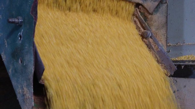 粟米小米加工粮食土地机器