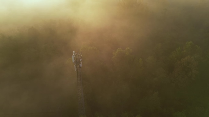 透过浓雾，鸟瞰可以看到一座电信塔从茂密的森林中拔地而起