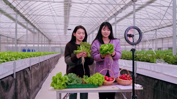 乡村振兴互联网农产品直播销售 销售蔬菜