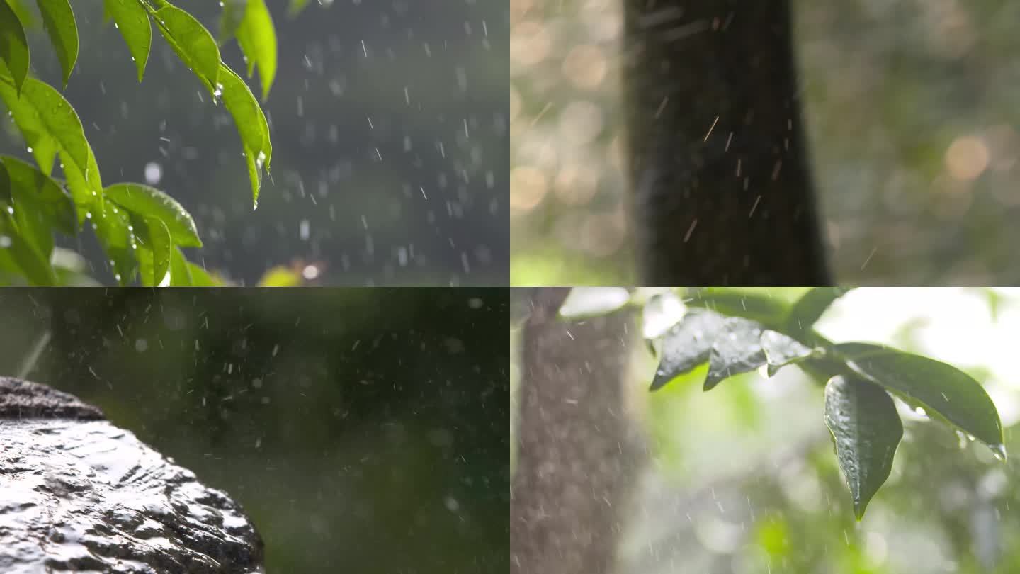 下雨 雨水滴石 树叶 雨滴 雨景空镜头