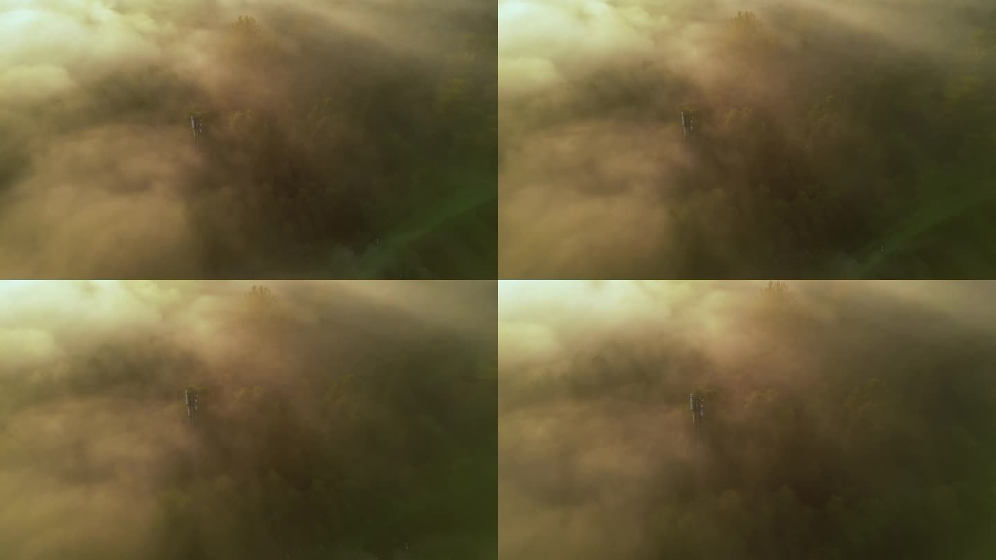 透过浓雾，鸟瞰可以看到一座电信塔从茂密的森林中拔地而起