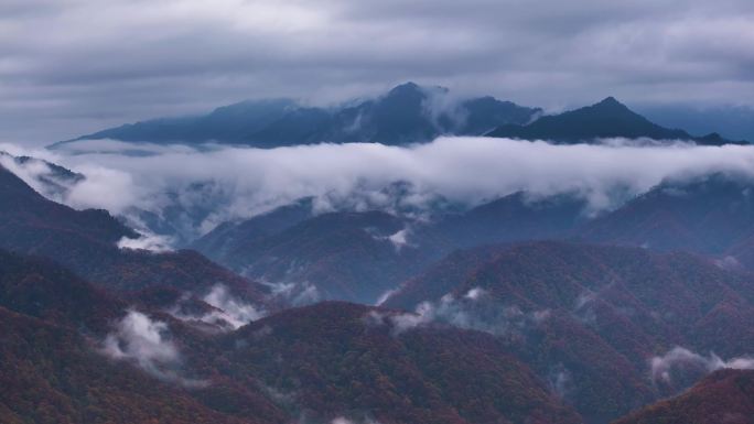 秦岭山水森林日出云海