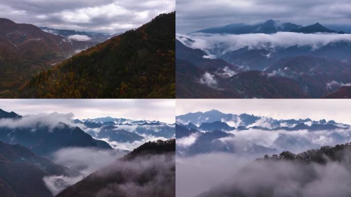 秦岭山水森林日出云海