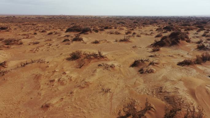 戈壁滩无人区素材防沙治沙 环境治理抗旱