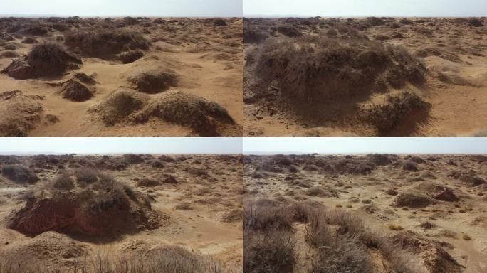 戈壁滩无人区素材防沙治沙 环境治理抗旱