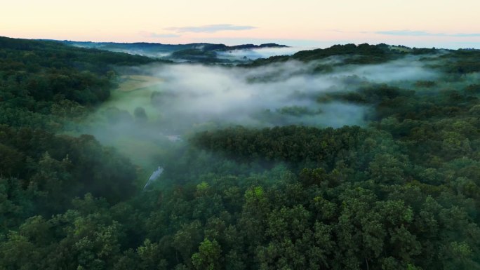 航拍浓雾笼罩着茂密的森林和农田，一缕缕薄雾在参天大树间优雅地舞动