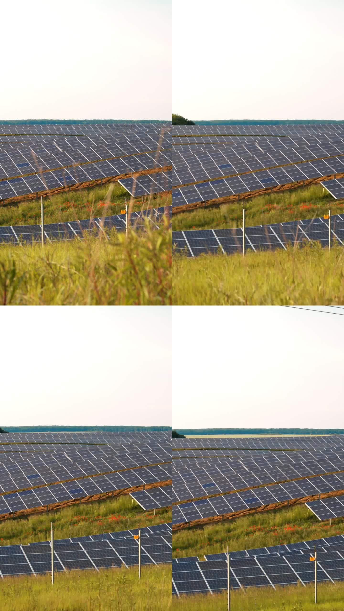 SLO MO创新展望:从自然制高点俯瞰太阳能发电厂
