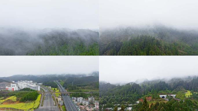 阴雨天气森林里白色的浓雾随风飘动阴天航拍